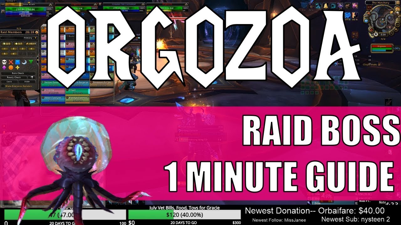 Orgozoa Raid Guide: Mechanics & Strategy Breakdown