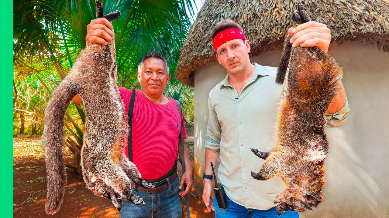 Wild Meats of Yucatan: Mexico's Hunting Traditions Explained