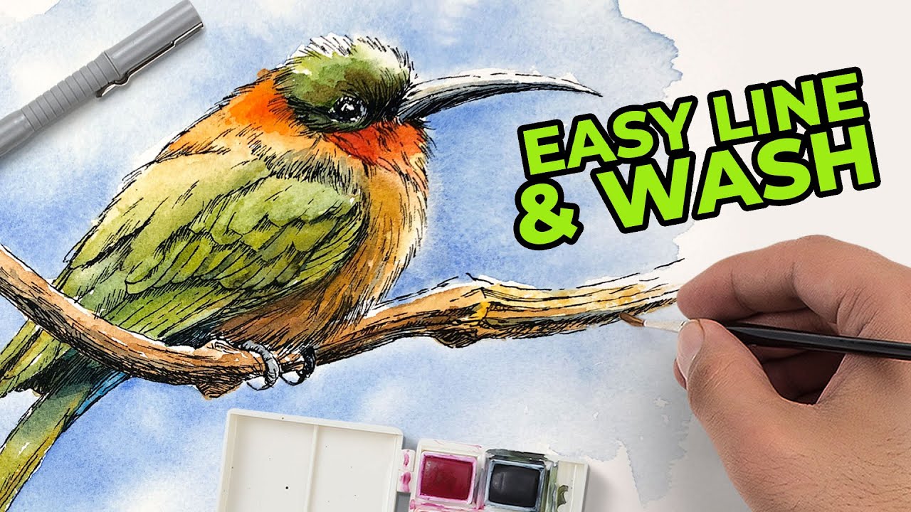 Simple Bird Line & Wash Tutorial: Pen, Ink & Watercolor Basics