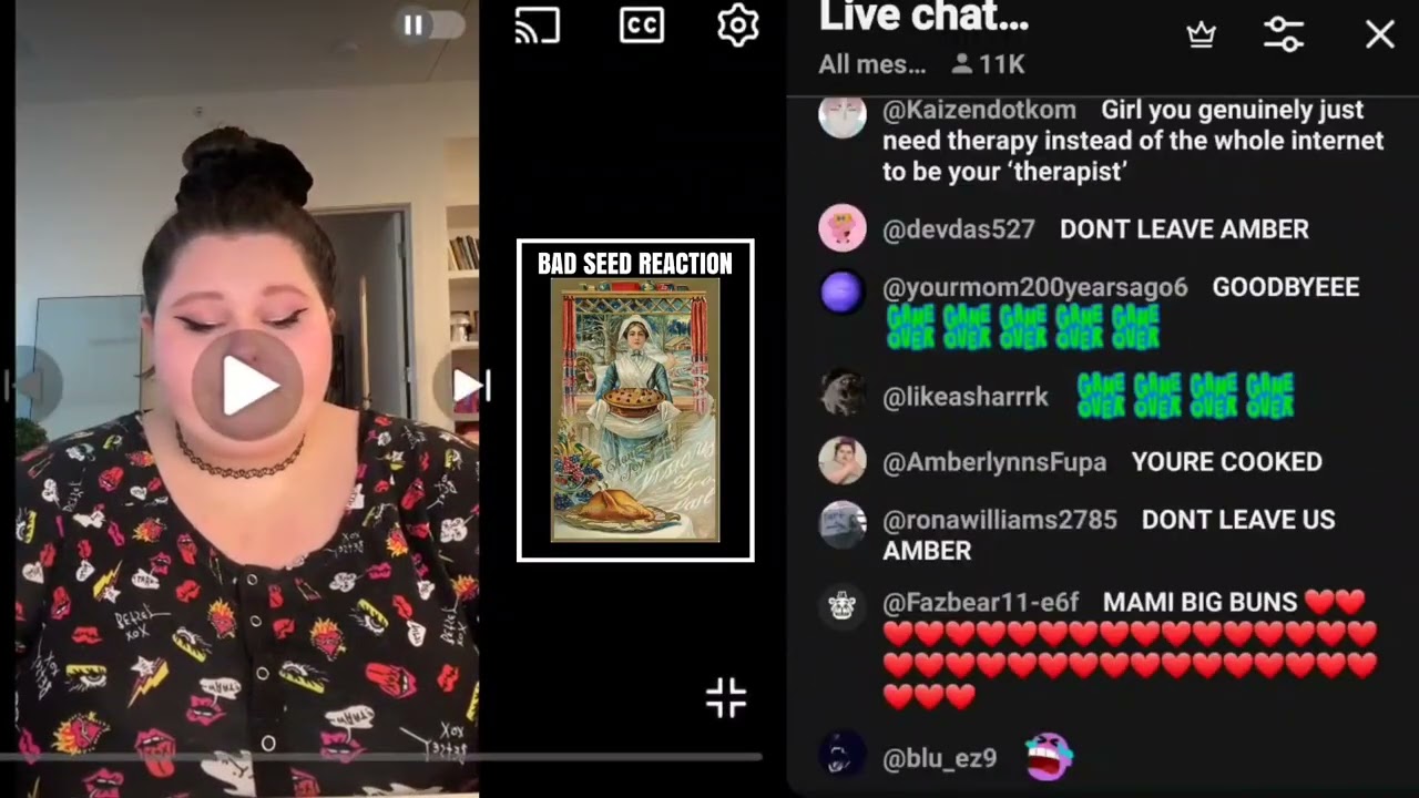 Amberlynn Reed Demonetization: Accountability Lessons for Creators