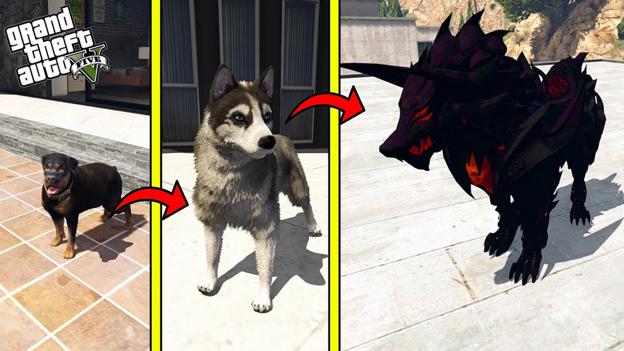 Fix Update Errors: Step-by-Step Troubleshooting Guide