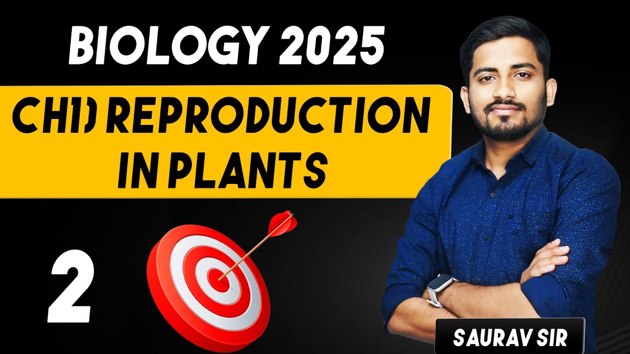 Sexual Reproduction in Flowering Plants Explained: Process & Diagrams