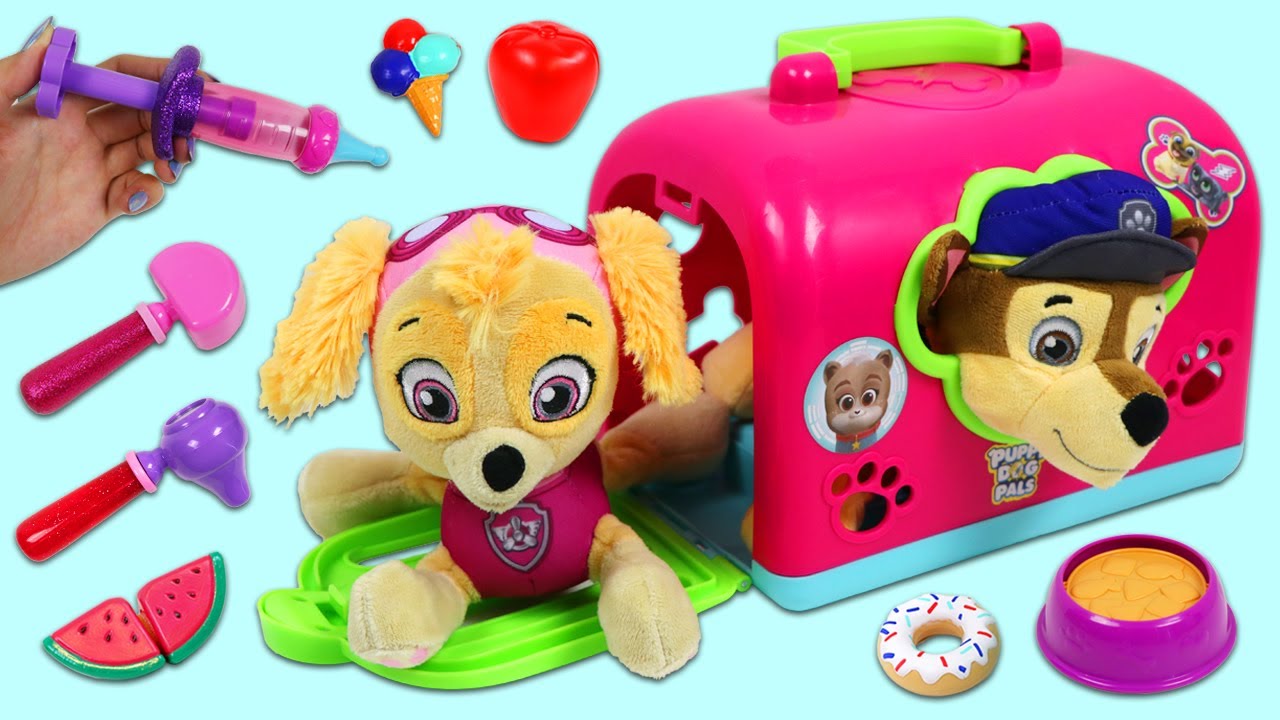 Essential Food Safety Lesson from Paw Patrol's Romeo Encounter