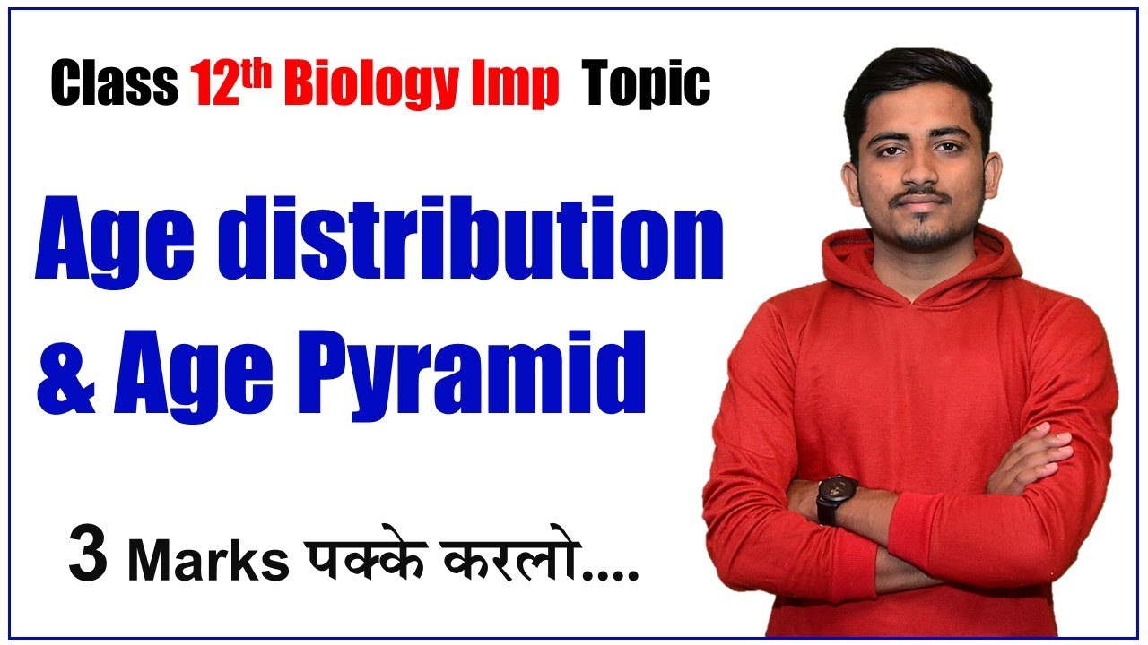 Population Pyramids Explained: Types, Growth Patterns & Global Examples