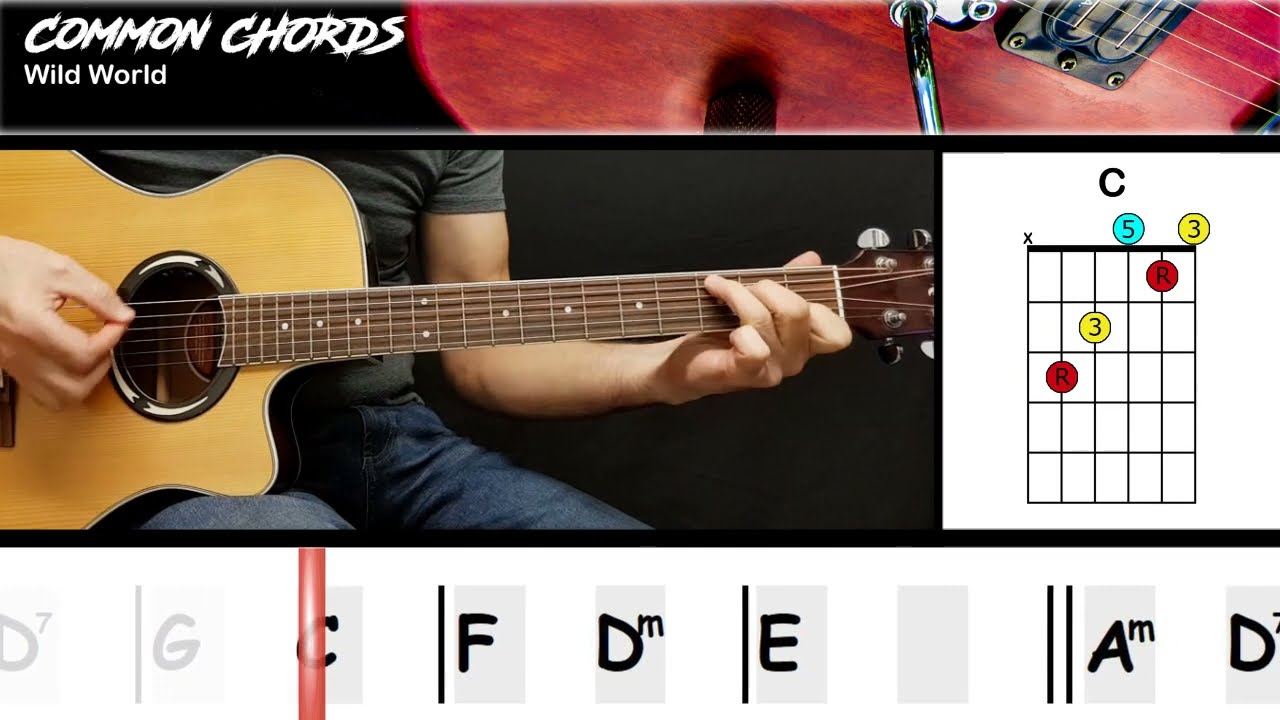 Navigating Life's Challenges: Wisdom from Cat Stevens' Wild World