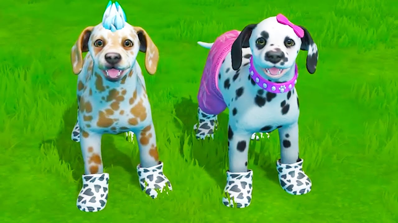 Puppy Island River Guide: Waterfall Secrets & New Puppies