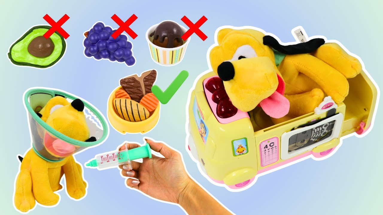 Dog Toxic Foods List & Emergency Response Guide