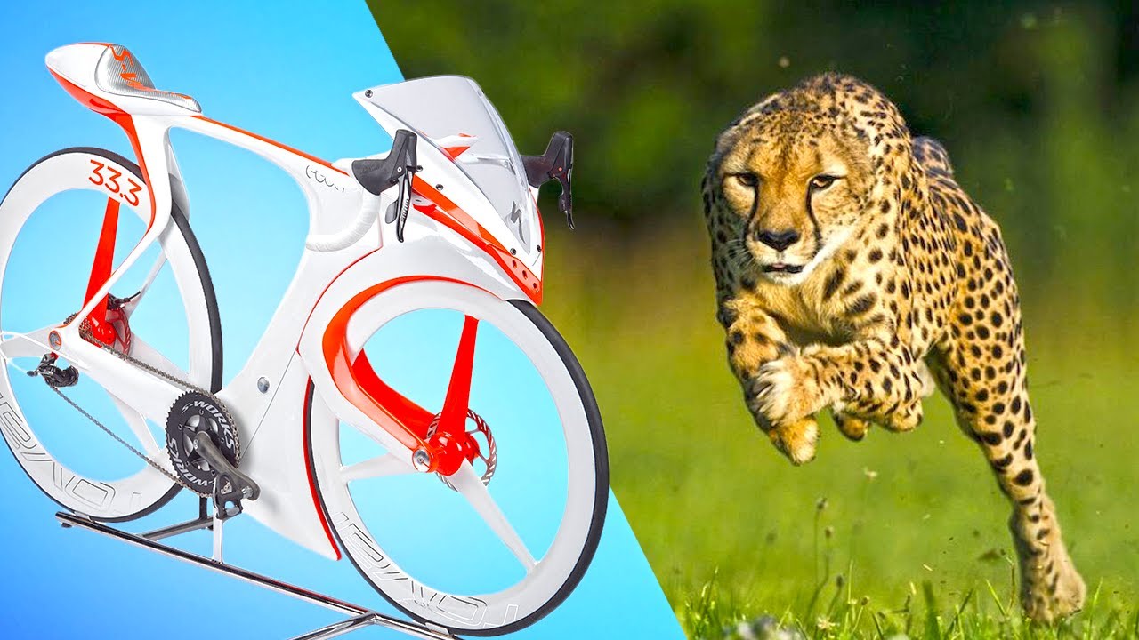 title:Portable Chair, Foldable E-Bike & Flying Car: Future Mobility Solutions