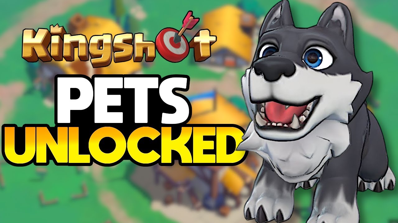 RoK Pet System & Hero Gear Guide: Low-Spender Strategies