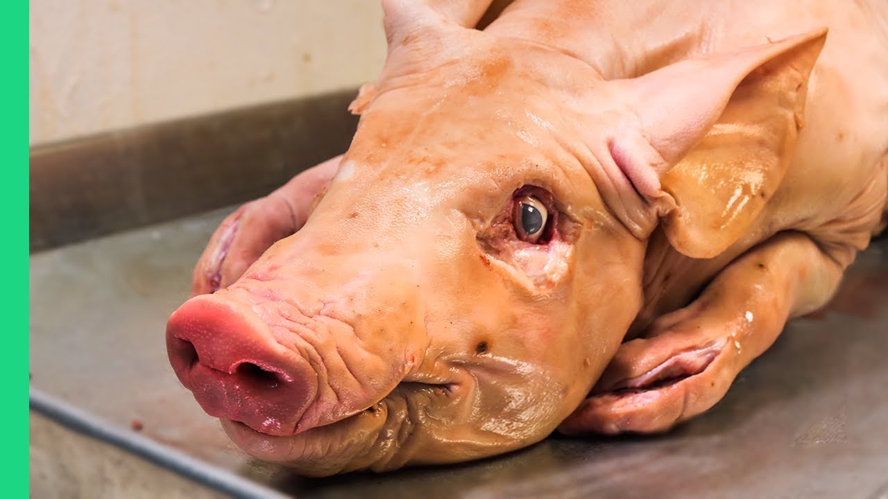 Ultimate Deep South Food Tour: Authentic Southern Cuisine Guide