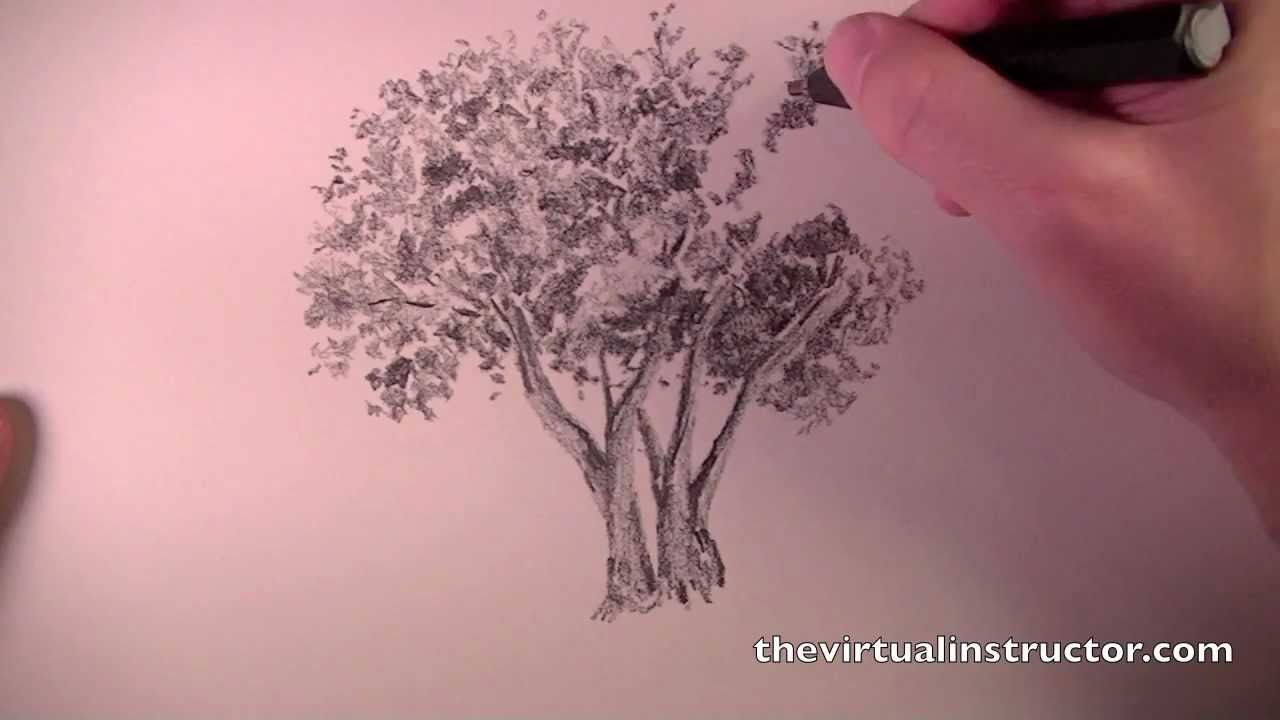 Master Drawing: 5 Stages of Artistic Development Explained