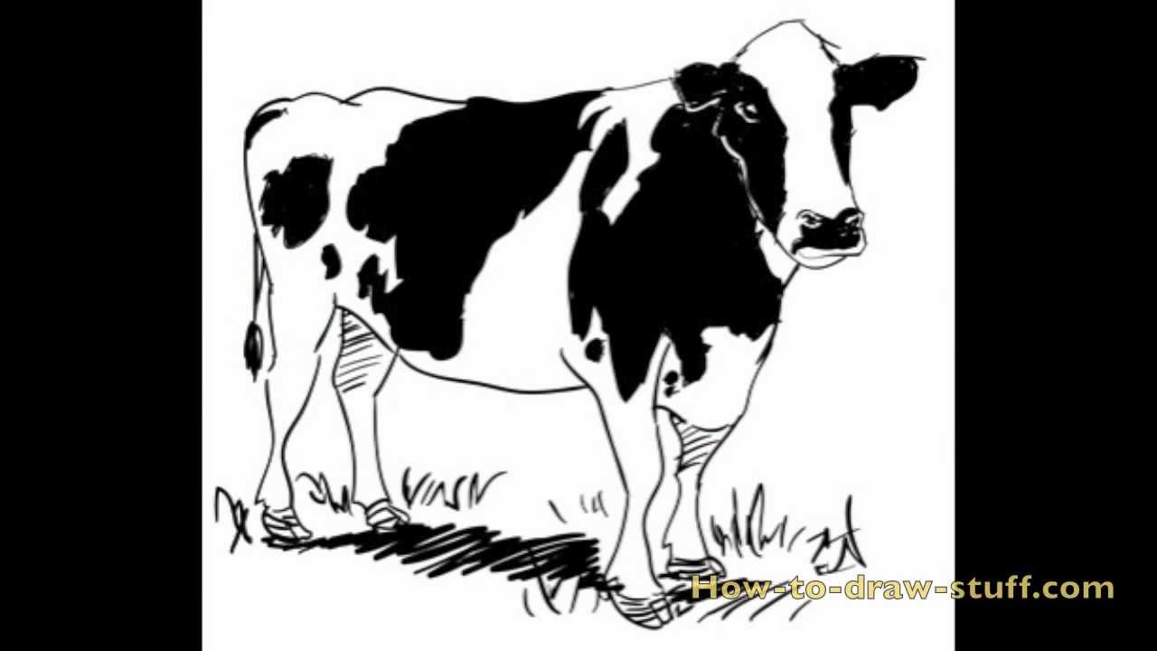 How to Draw a Cow: Step-by-Step Sketching Guide