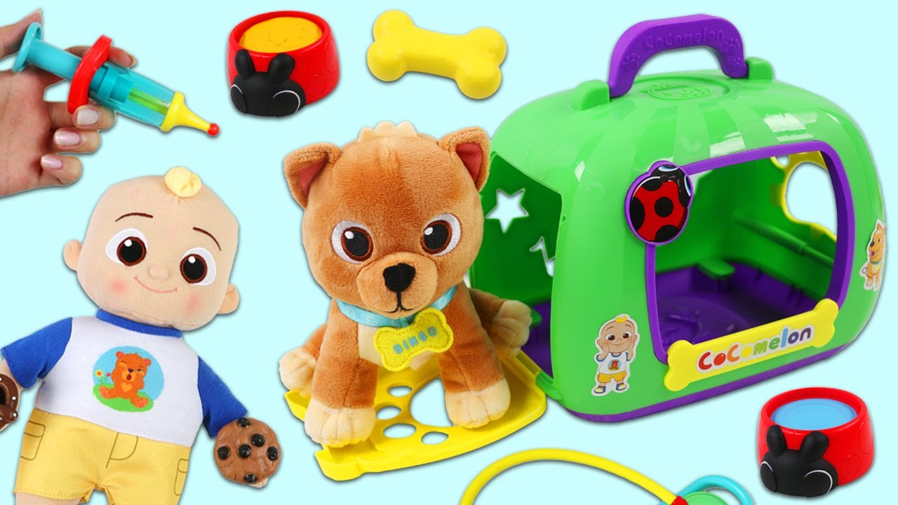 Toxic Foods for Dogs: Critical Safety Guide Every Owner Needs