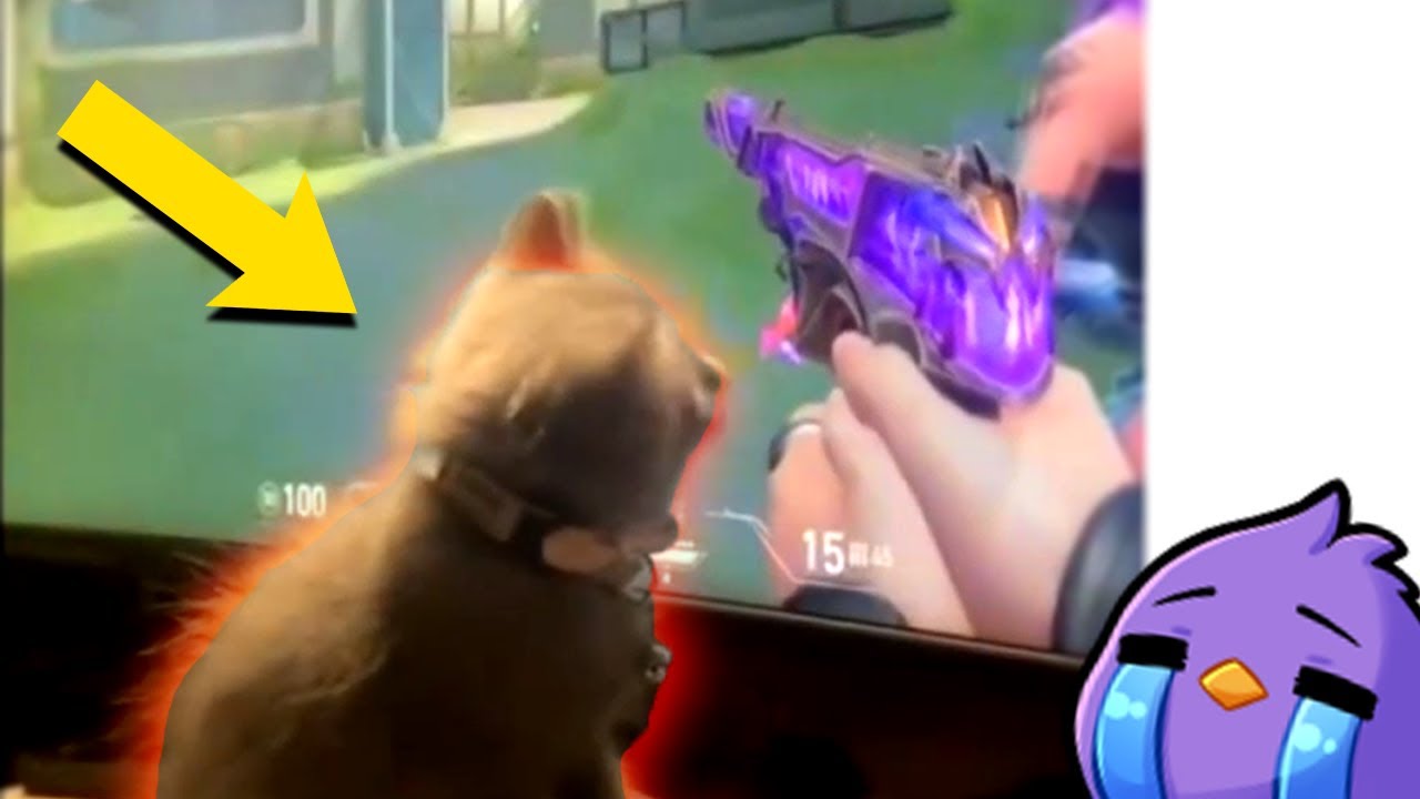 Valorant's Craziest Moments: Pro Reacts to Viral Gaming Clips