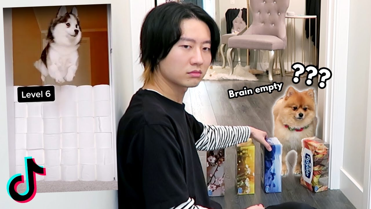 Dog TikTok Trends Tested: Surprising Results with a Real Dog