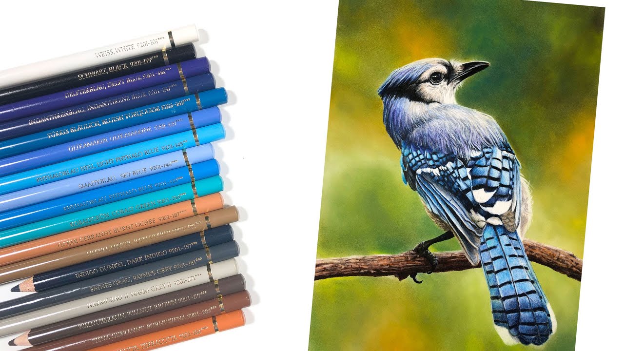 Master Realistic Bird Drawing with Oil-Based Colored Pencils