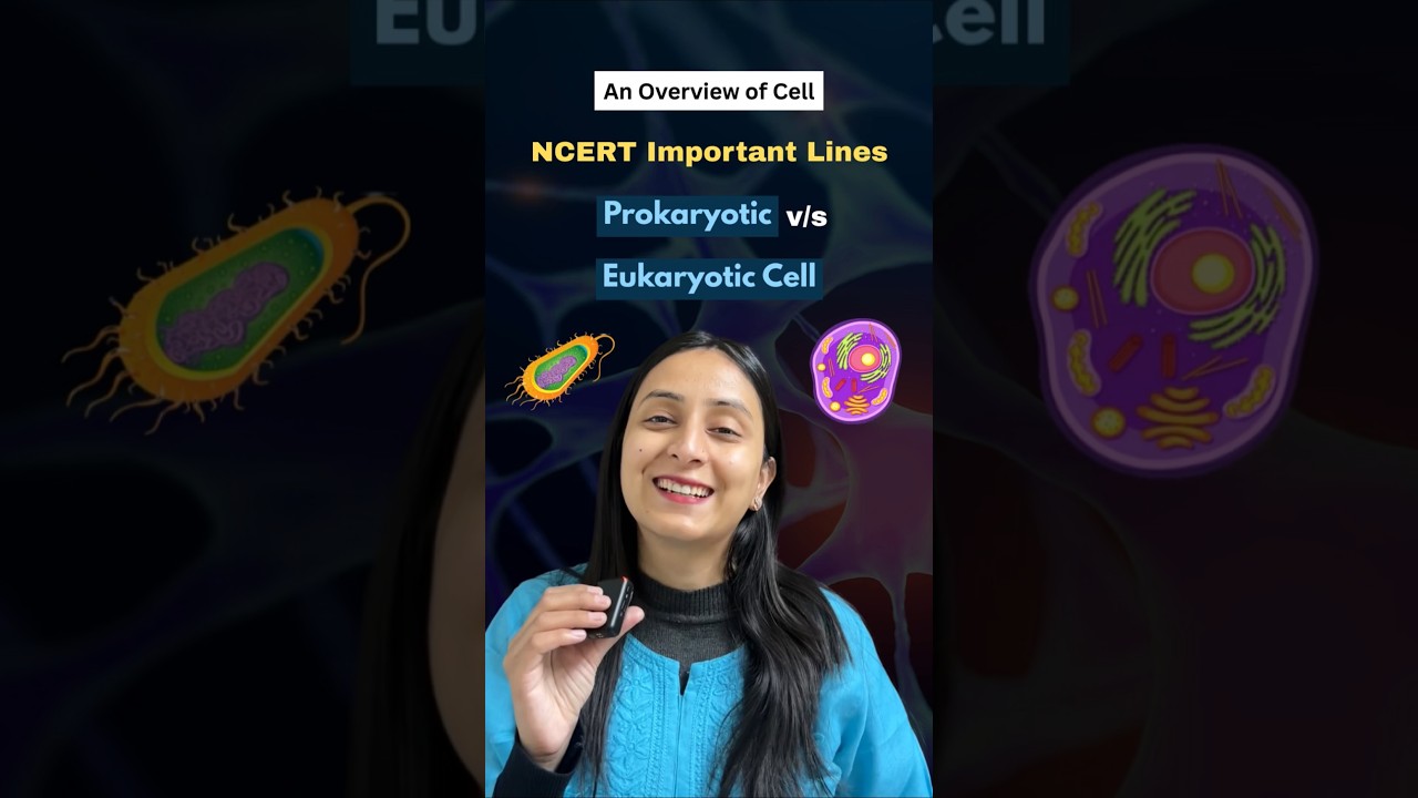 Prokaryotic vs Eukaryotic Cells: NCERT Biology Essentials Explained