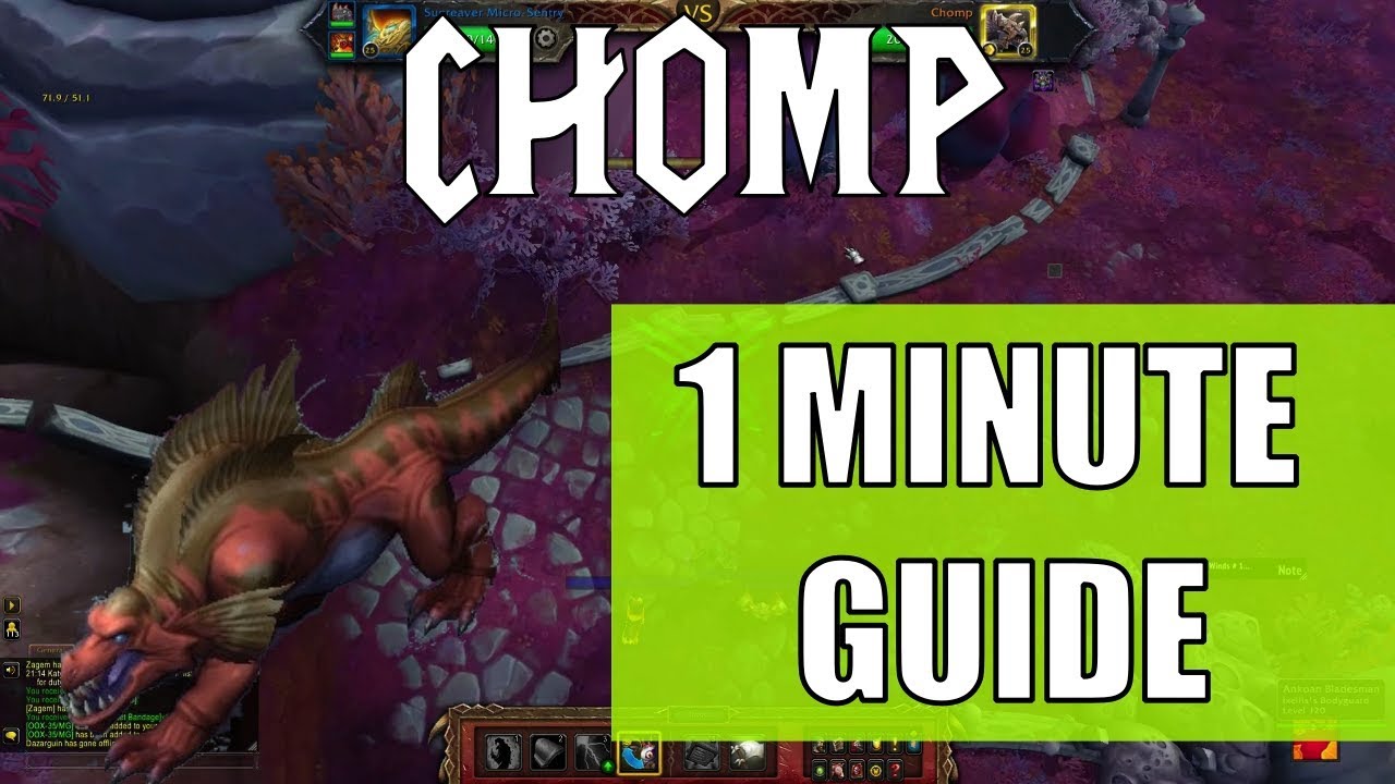 How to Defeat Chomp in WoD Pet Battles: Proven Strategy
