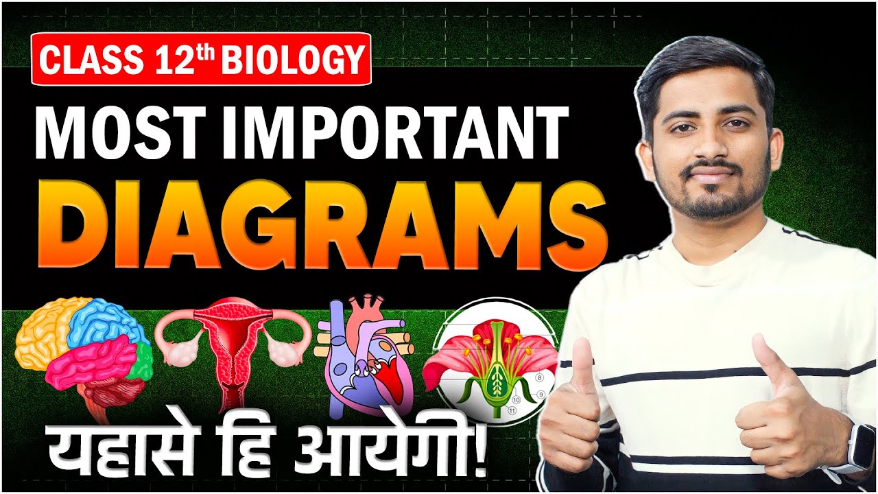 Top 10 Biology Diagrams to Score 90+ in Board Exams (2024)