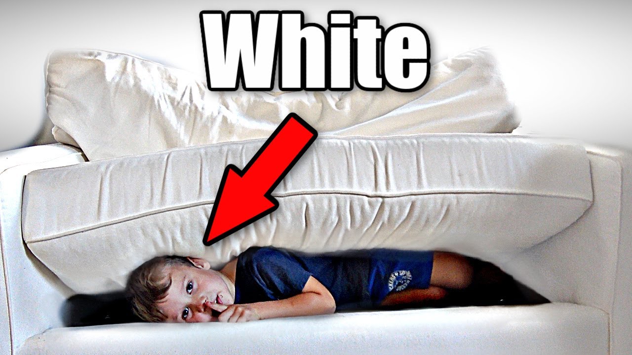 Master Color Camouflage: Win Hide & Seek Every Time