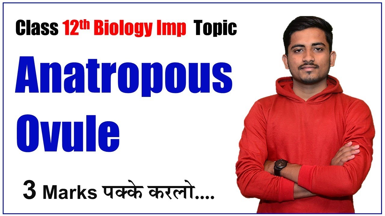 Anatropous Ovule Structure Explained | Angiosperm Guide
