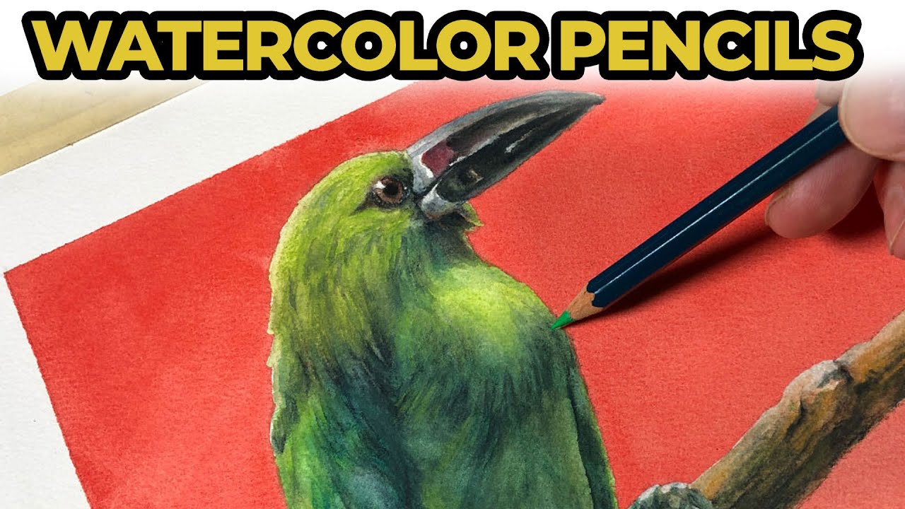 Master Watercolor Pencil Techniques for Vibrant Art