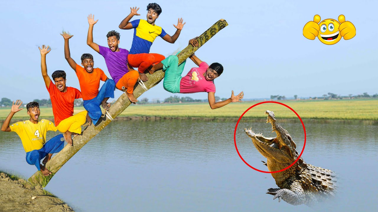 Unable to Generate Article: Input Analysis Required