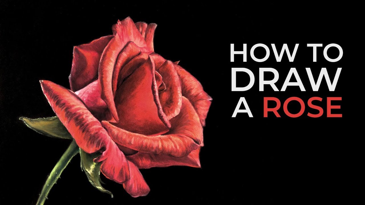 How to Draw a Realistic Rose with Pastels: Step-by-Step Guide