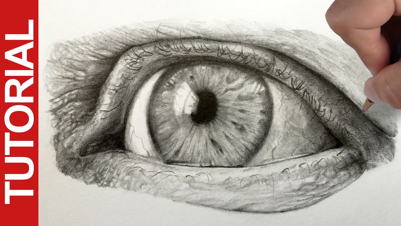 Master Realistic Eye Drawing with Graphite Pencils: Step-by-Step Guide