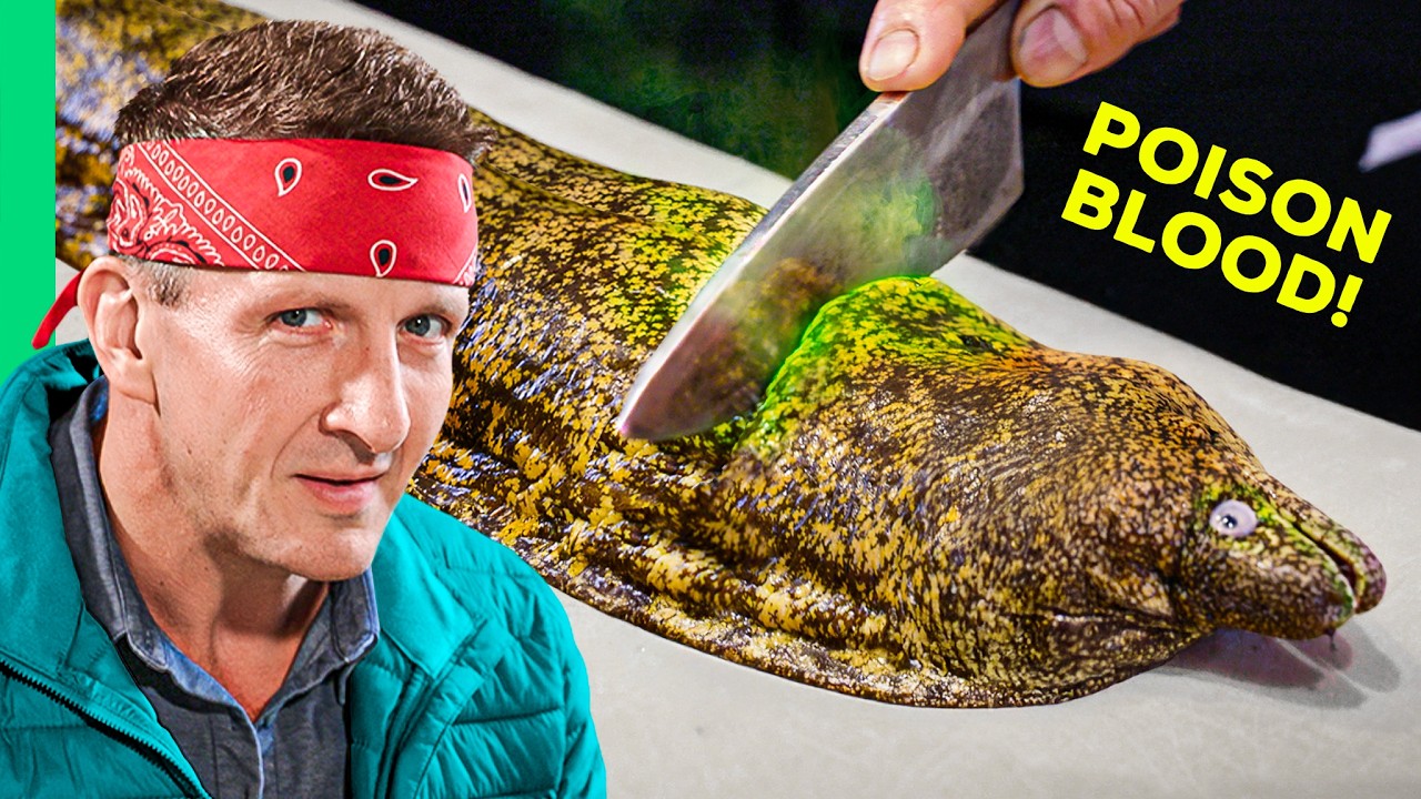 Deadly Delicacies: Safely Eating Tokyo's Most Dangerous Fish