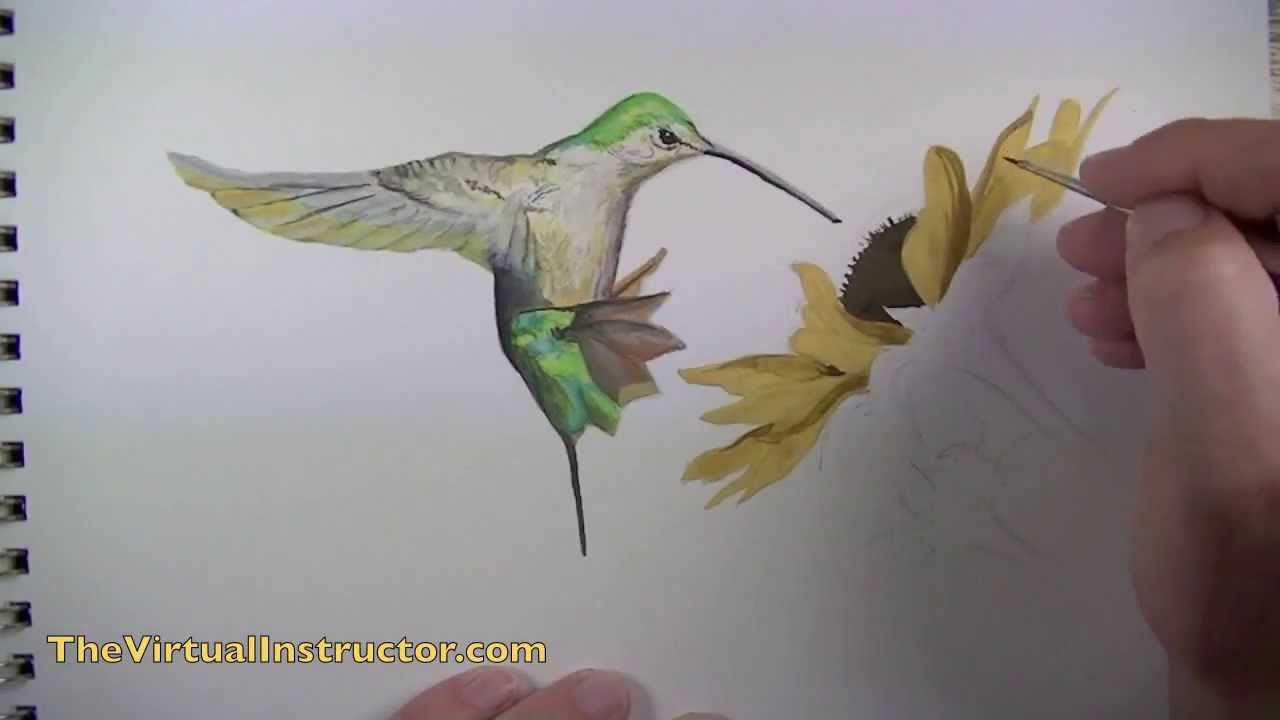 How to Paint a Hummingbird With Gouache: Step-by-Step Guide