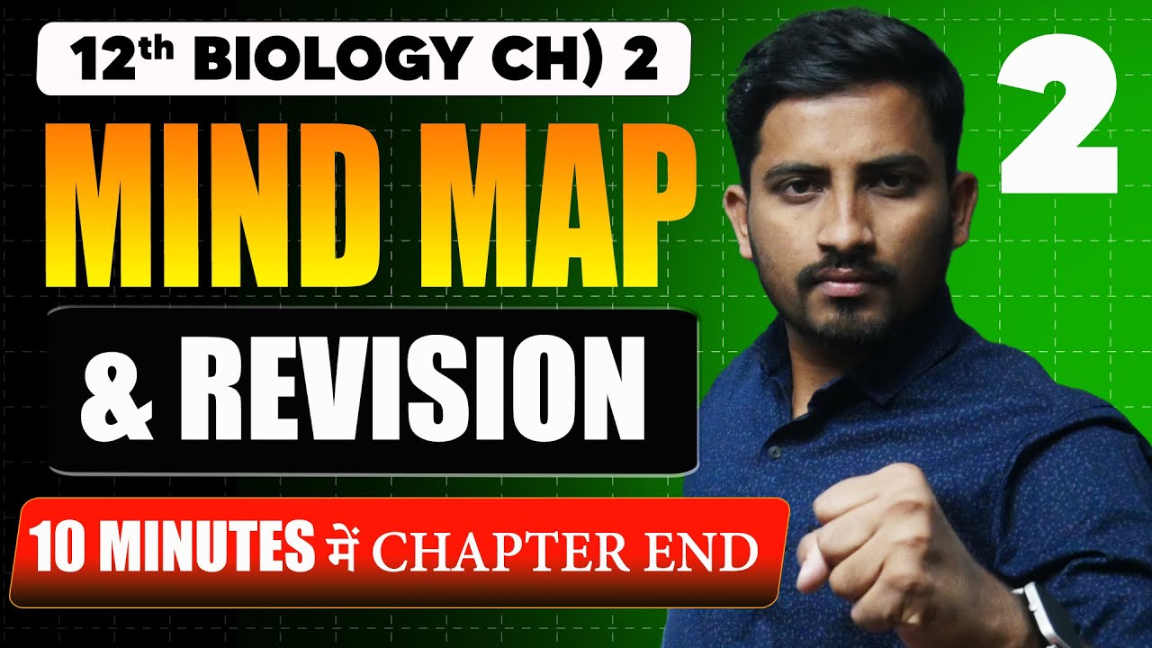 Human Reproductive System: Complete Revision Guide for Biology Exams