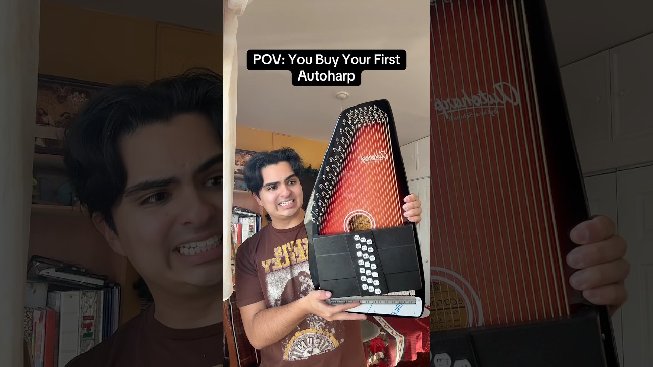 Autoharp Beginner's Guide: How to Hold, Play & Master Basics