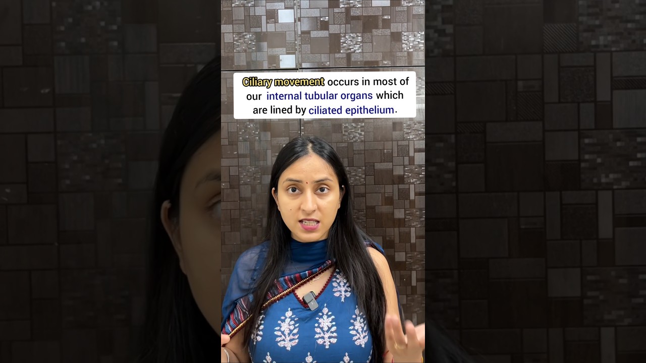 3 Types of Cellular Movement in Human Body Explained