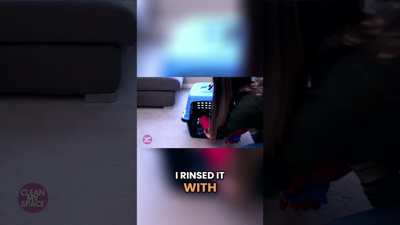 OxyClean Pet Stain Removal: Step-by-Step Guide