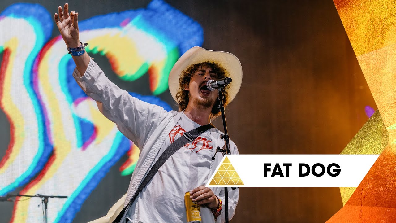 Avicii Wake Me Up Lyrics Meaning and Cultural Impact