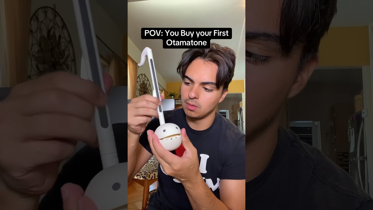 Otamatone Explained: Japan's Quirkiest Instrument Demystified