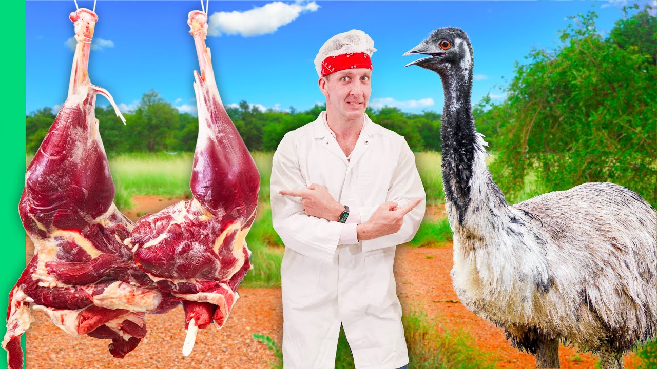 Emu Farming in Australia: Industry Insights & Taste Test