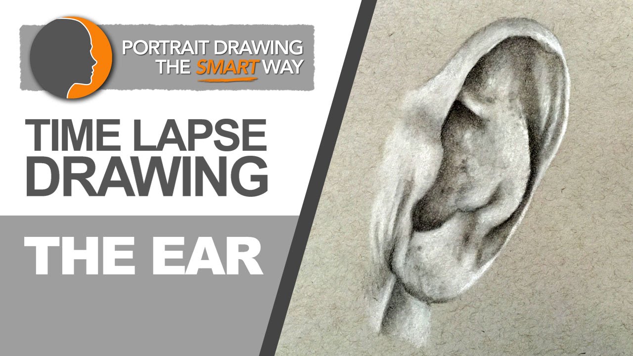 Portrait Drawing Course Review: Smart Way for Beginners