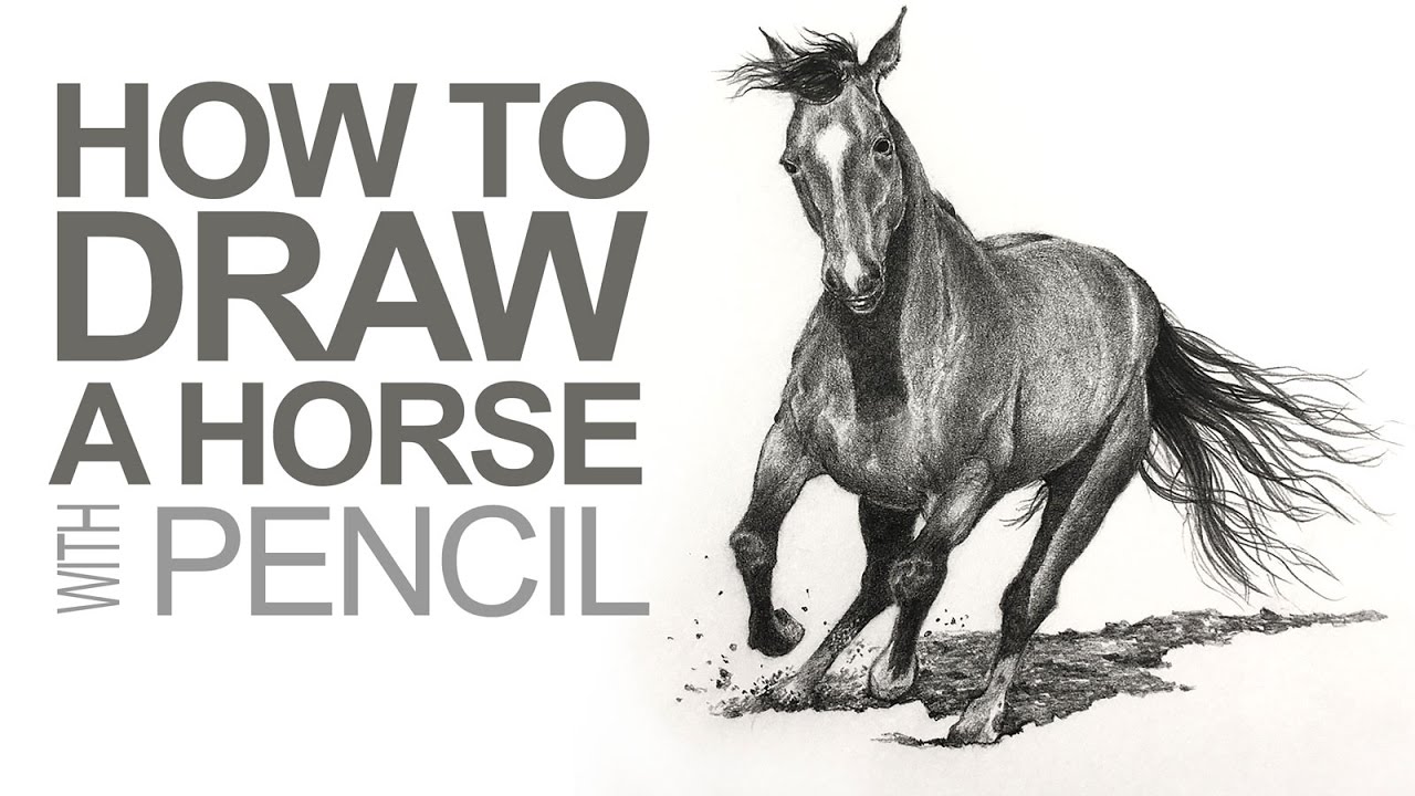 Master Graphite Horse Drawing: Step-by-Step Guide