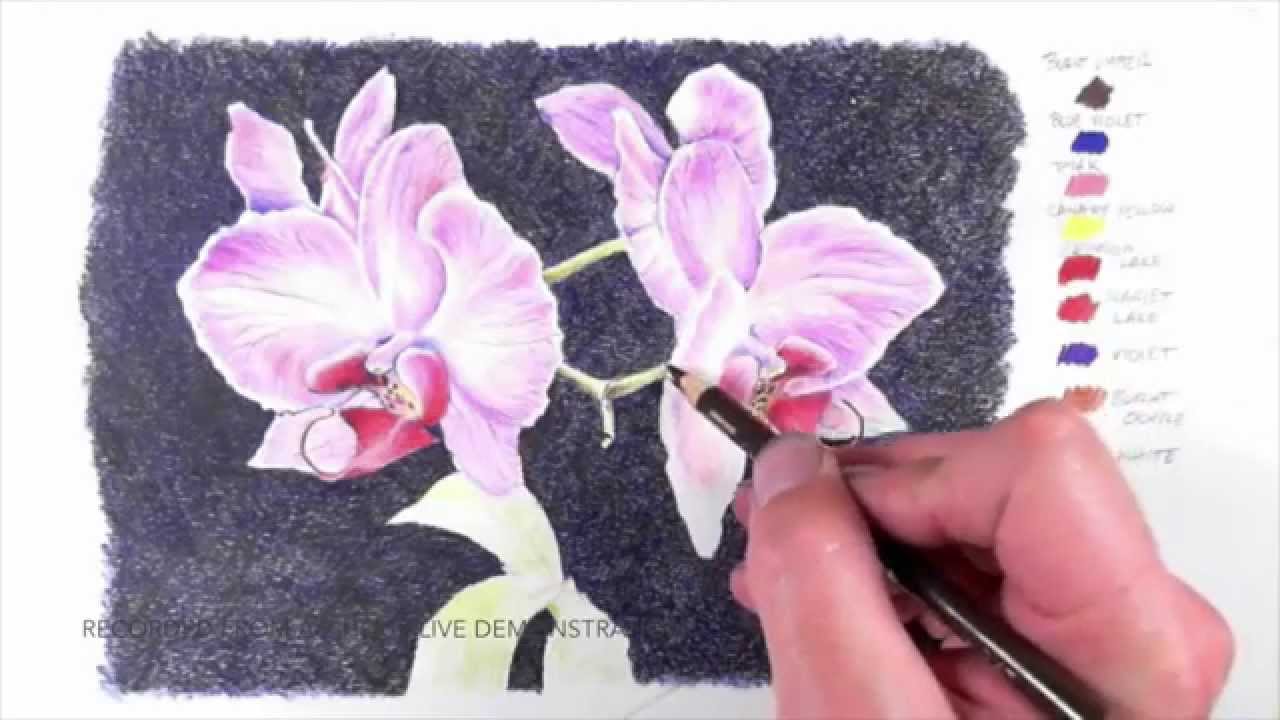 Realistic Orchid Drawing Techniques with Colored Pencils