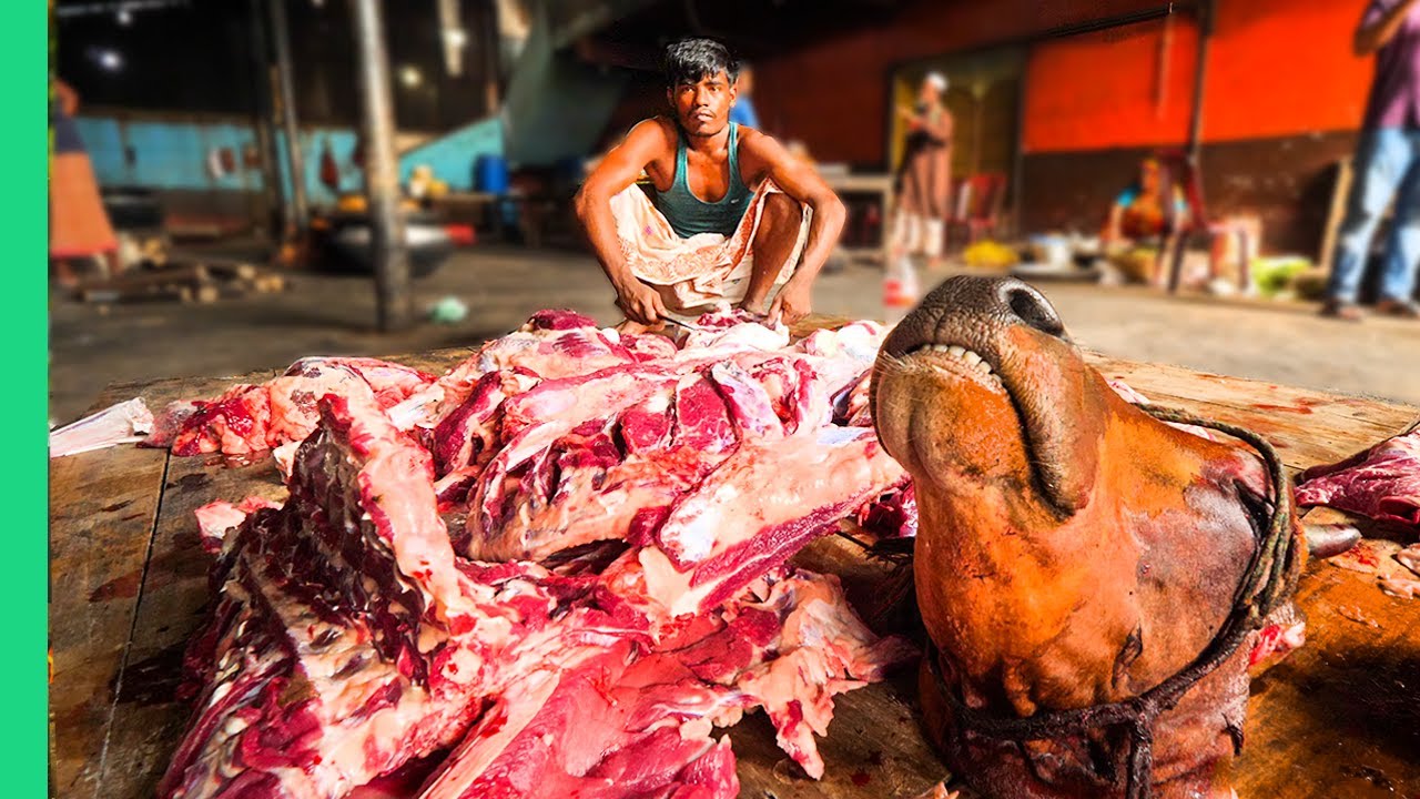 Bangladesh Travel Guide: Unfiltered Insights & Cultural Adventures