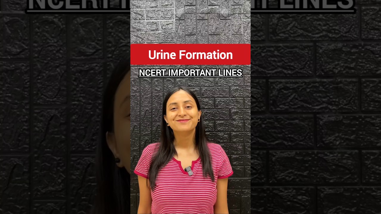 Kidney Function & Urine Formation: NCERT Quick Revision Guide