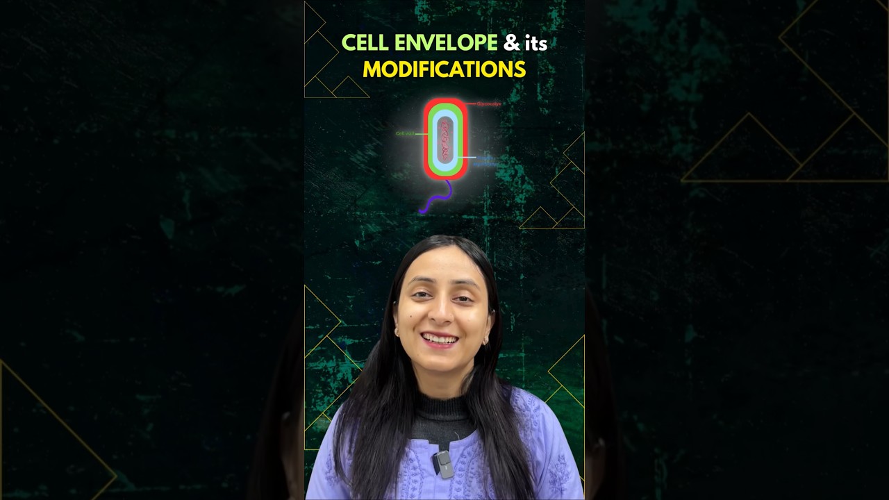 Gram Stain: Bacterial Cell Envelope Differences Explained