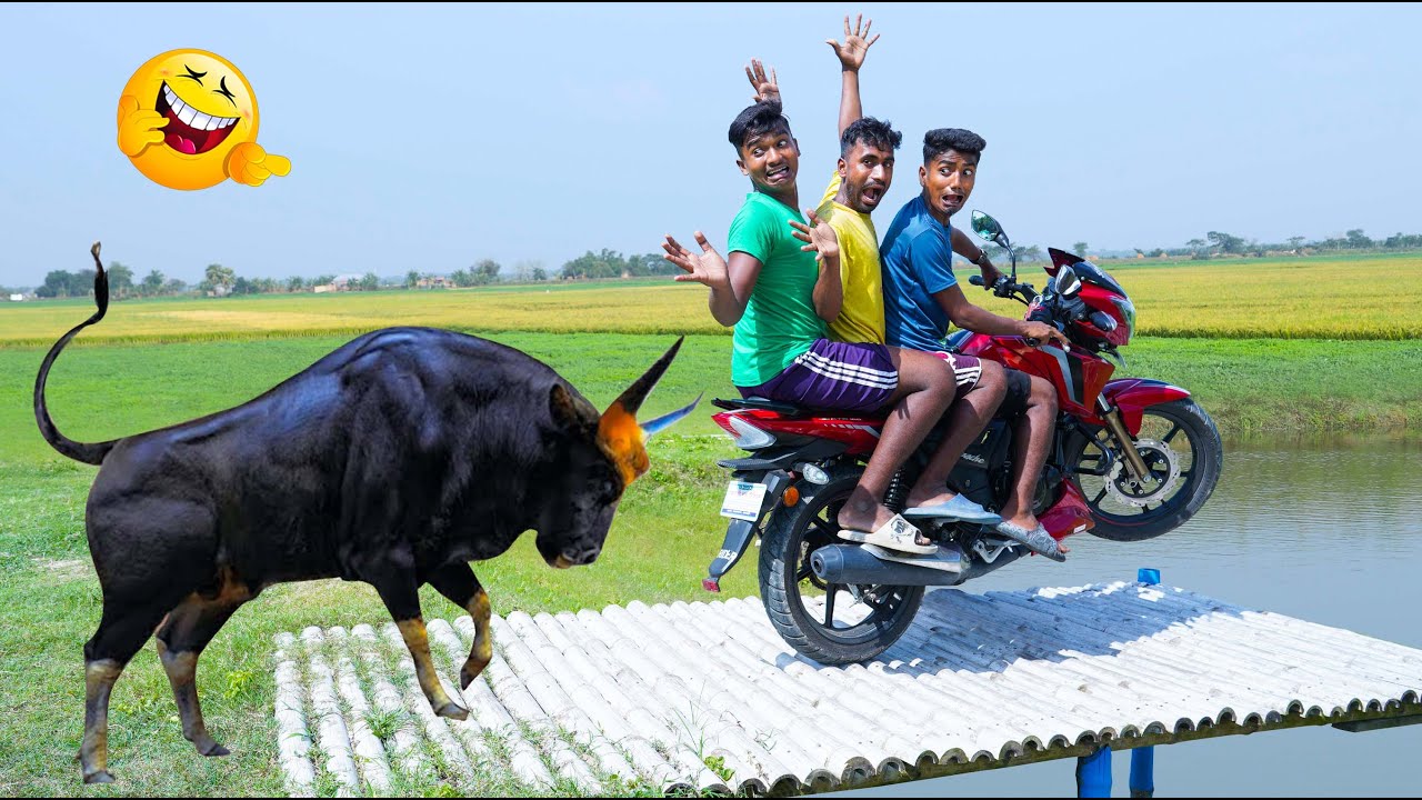 Why Absurd Viral Videos Captivate Us: Humor Science Explained