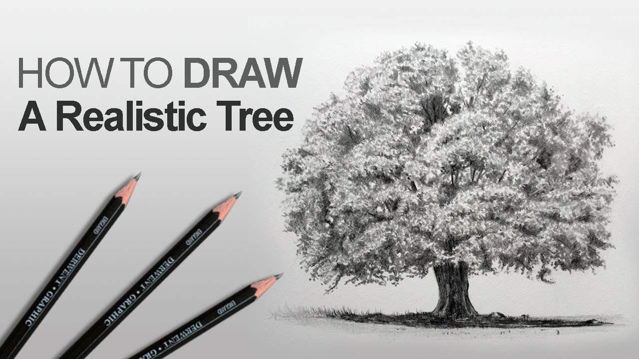 Master Realistic Tree Drawing with Graphite Pencils: Step-by-Step Guide