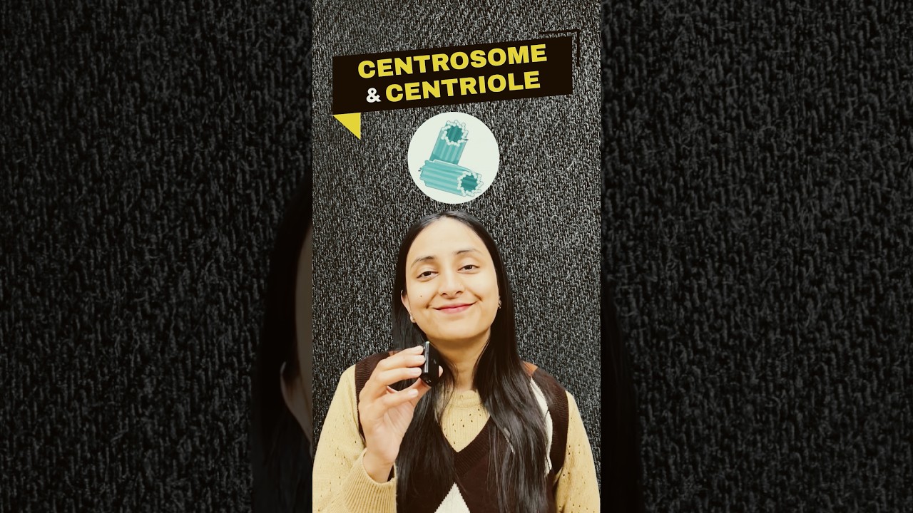 Centriole Structure Explained: 9 Key Facts with Diagrams