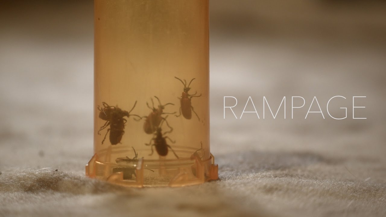 Insufficient Input for Content Creation