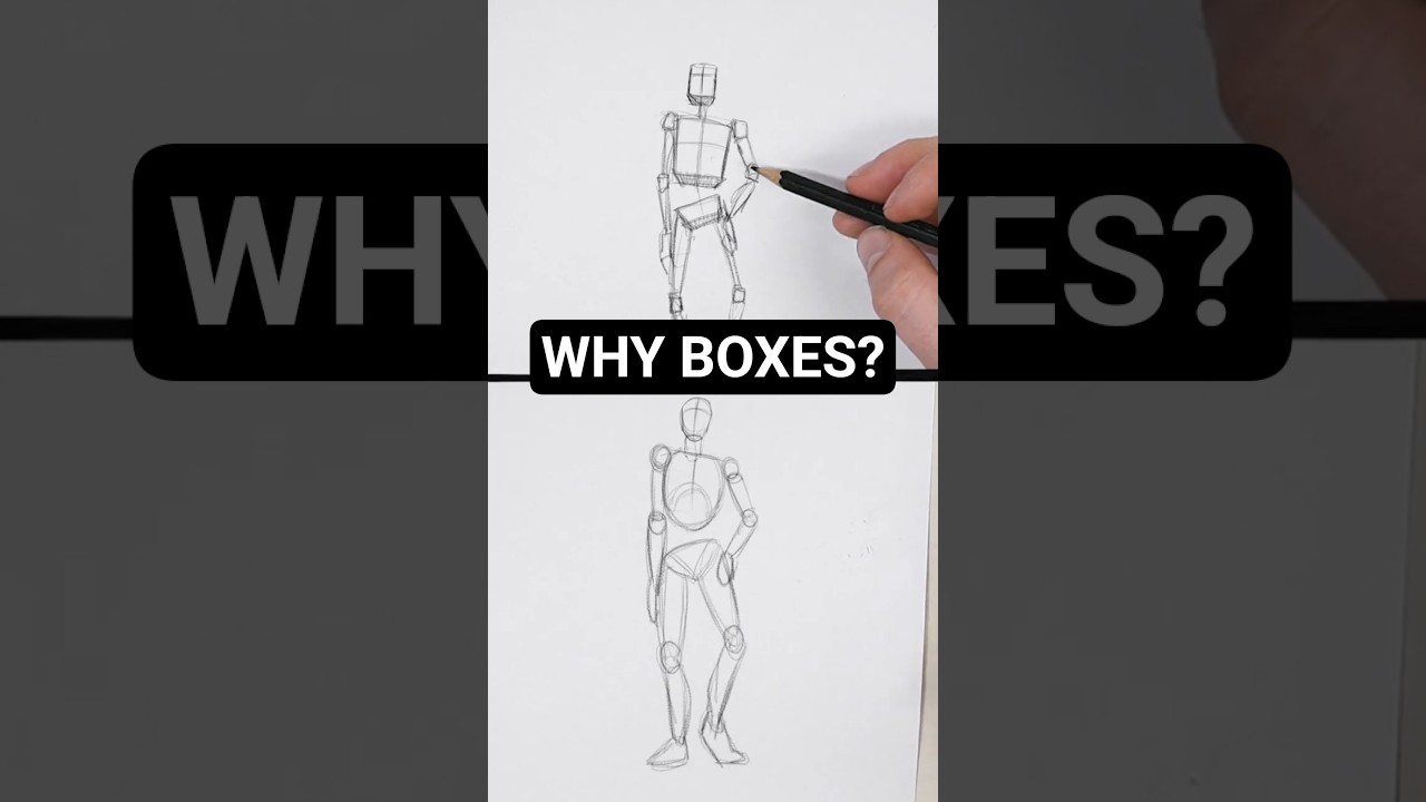 Box vs Sphere: Choosing Your Figure Drawing Foundation
