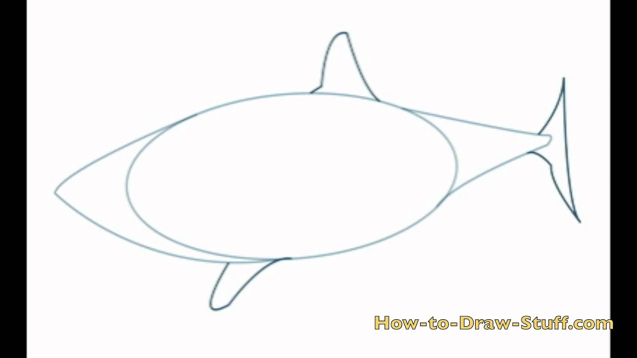 How to Draw a Great White Shark: Step-by-Step Guide